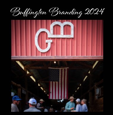 Buffington Branding 2024 book cover