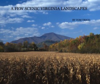 A FEW SCENIC VIRGINIA LANDSCAPES book cover