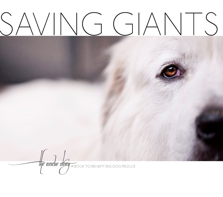View Saving Giants : a rescue story by Claire Bow of Rouxby Photography