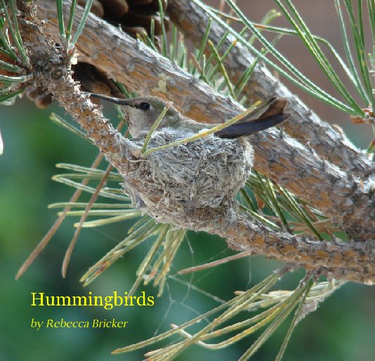 View Hummingbirds by Rebecca Bricker