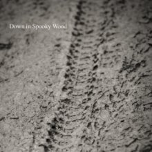 Down in Spooky Wood book cover
