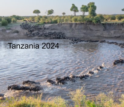 Tanzania 2024 book cover