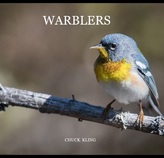 View Warblers by CHUCK KLING