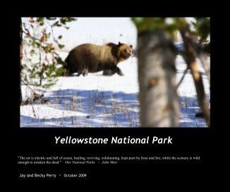 Yellowstone National Park book cover