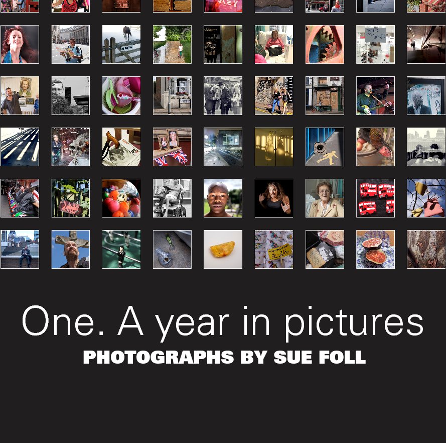 Ver One. A year in pictures por Sue Foll