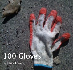 100 Gloves book cover