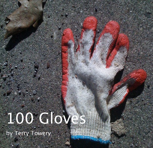 View 100 Gloves by Terry Towery
