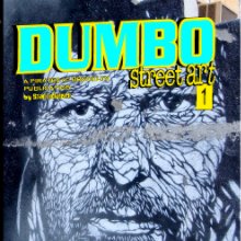 Dumbo Street Art book cover