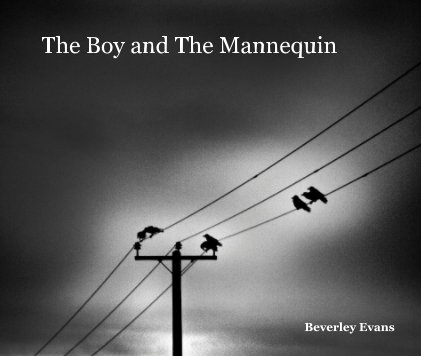 The Boy and The Mannequin book cover