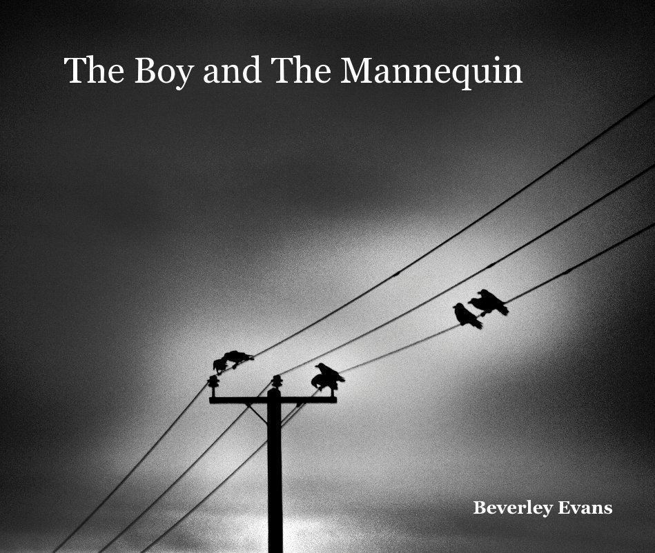 Ver The Boy and The Mannequin por Beverley Evans