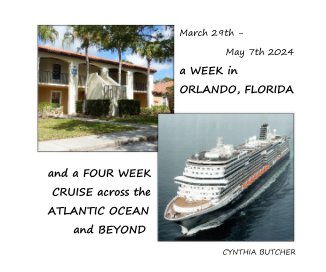 March 29th - May 7th 2024 a WEEK in ORLANDO, FLORIDA book cover