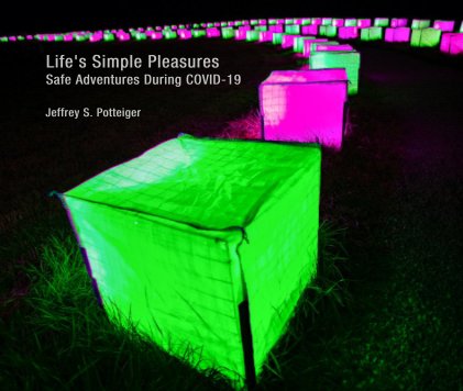 Life's Simple Pleasures Safe Adventures During COVID-19 book cover