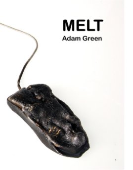 MELT book cover