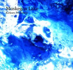 Muskegon Lake book cover