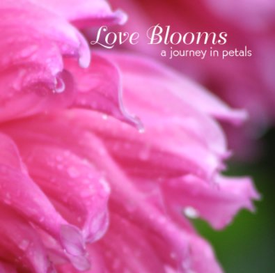 Love Blooms book cover