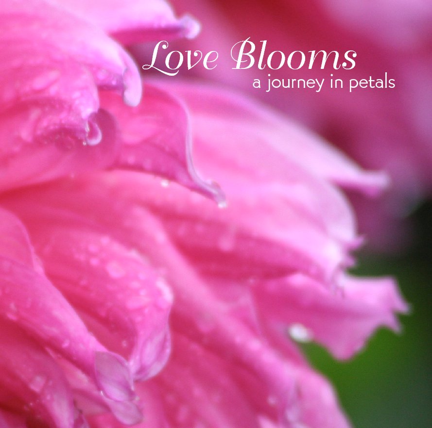 View Love Blooms by Allyson