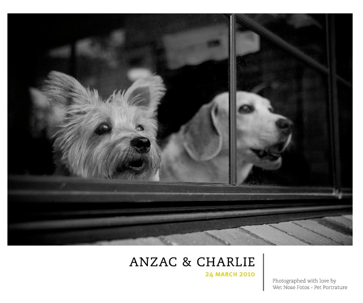 View Anzac & Charlie by Wet Nose Fotos