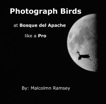 Photograph Bosqe del Apache Birds Like a Pro book cover