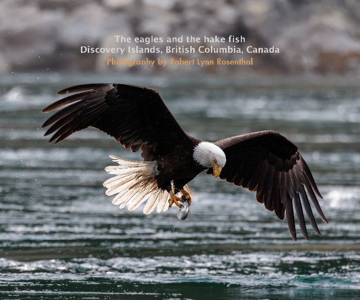 View The eagles and the hake fish by Robert Lynn Rosenthal