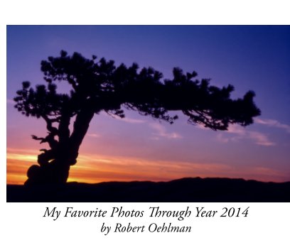 My Favorite Photos Through Year 2014 book cover