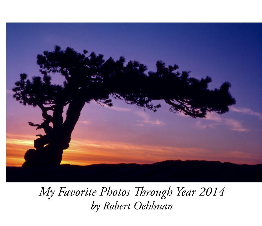 View My Favorite Photos Through Year 2014 by Robert Oehlman