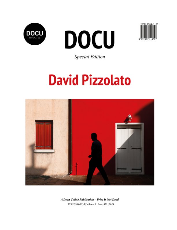 Ver David Pizzolato por Docu Magazine