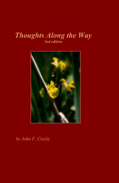 View Thoughts Along the Way 2nd edition by John F. Ciesla