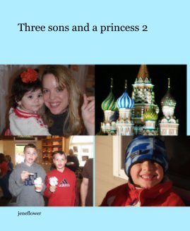 Three Sons And A Princess 2 book cover