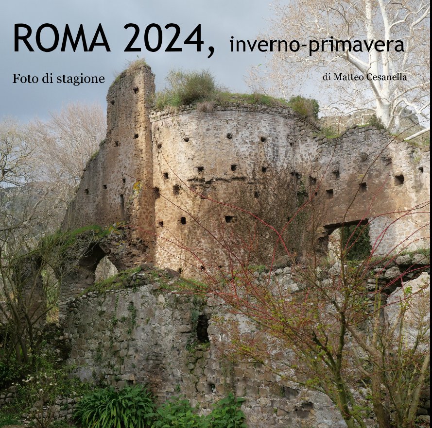 View ROMA 2024, inverno-primavera by di Matteo Cesanella