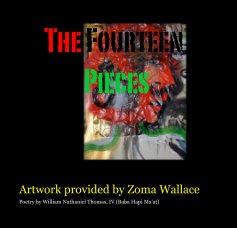The Fourteen Pieces book cover