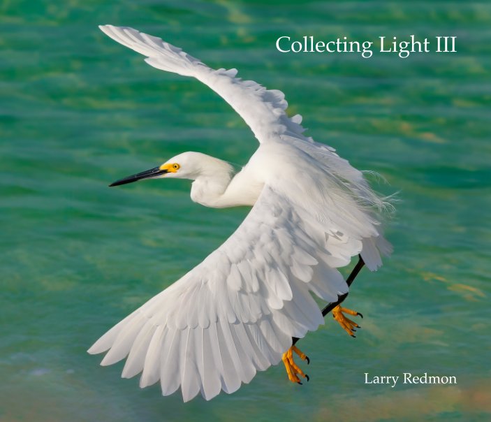 Visualizza Collecting Light III di Larry Redmon