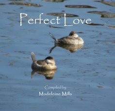 Perfect Love book cover