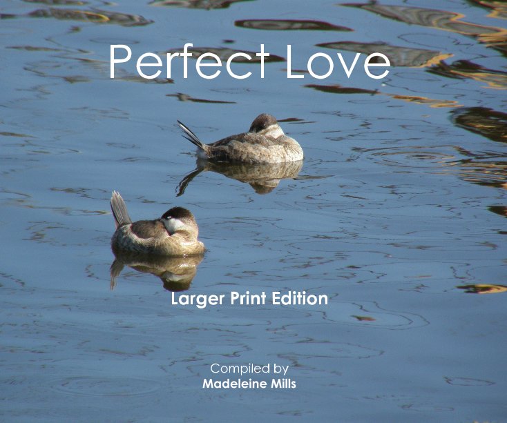 View Perfect Love by Madeleine Mills