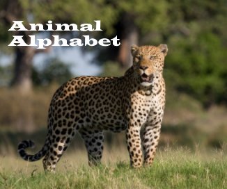 Animal Alphabet book cover