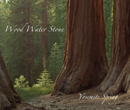 Wood Water Stone Yosemite Spring book cover