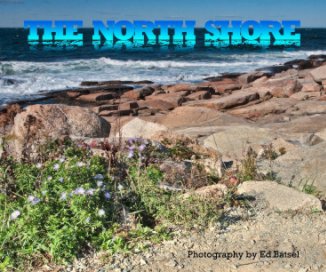 The North Shore book cover