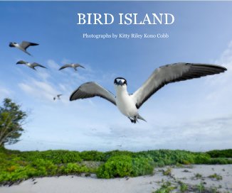 Bird Island book cover