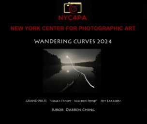 Wandering Curves book cover