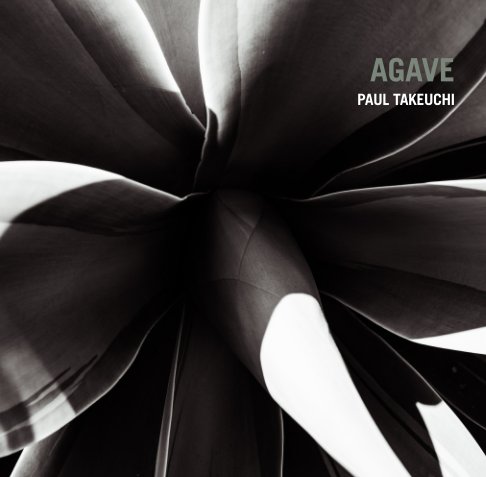 Agave nach Paul Takeuchi anzeigen