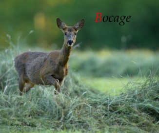 Bocage book cover