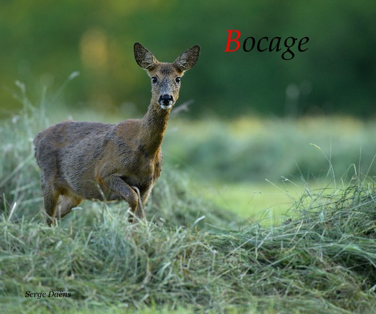 Ver Bocage por Serge Daëns