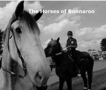 The Horses of Bonnaroo book cover