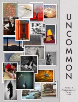 Uncommon book cover