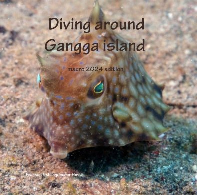 Diving around Gangga island book cover