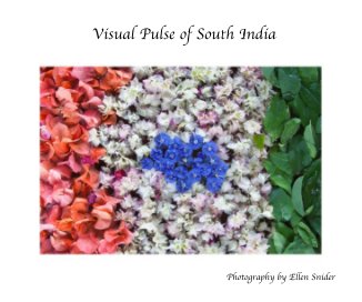 Visual Pulse of South India book cover