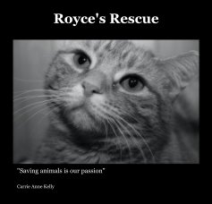 Royce's Rescue book cover