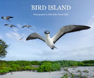 Bird Island book cover