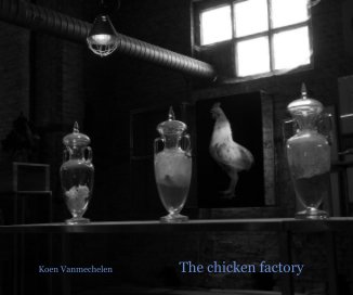 Koen Vanmechelen book cover