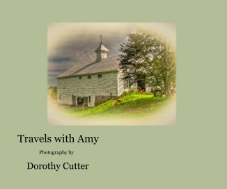 Travels with Amy book cover