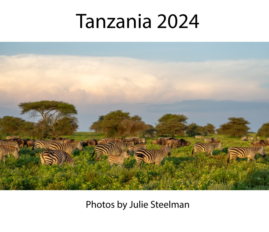 Tanzania 2024 Book nach Julie Steelman anzeigen